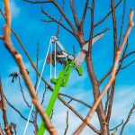 Verto Scie à branches avec cordon (1)